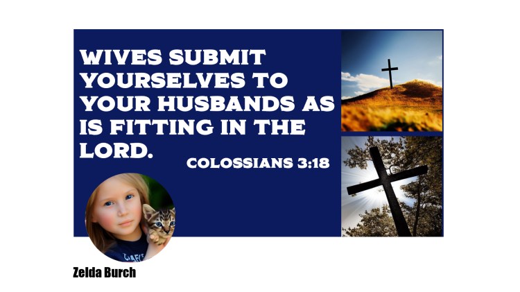 Facebook banner showing profile picture of a blonde child of indeterminate gender holding a kitten; banner features two crosses and a caption in white lettering on a blue background that reads: "Wives submit yourselves to your husbands as is fitting in the Lord. Colossians 3:18".